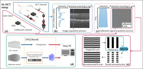 Compressed sensing-enabled phase-sensitive swept-source optical coherence tomography